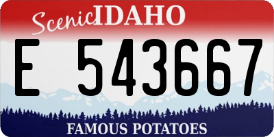 ID license plate E543667