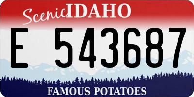 ID license plate E543687