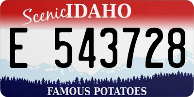 ID license plate E543728