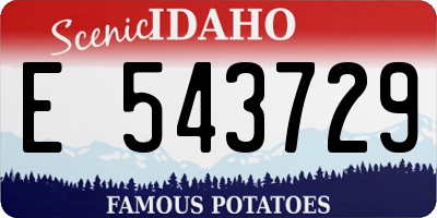 ID license plate E543729