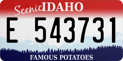ID license plate E543731