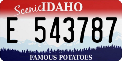 ID license plate E543787