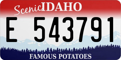 ID license plate E543791