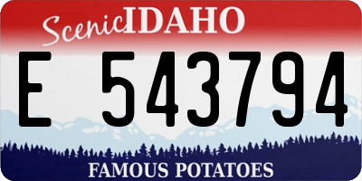 ID license plate E543794