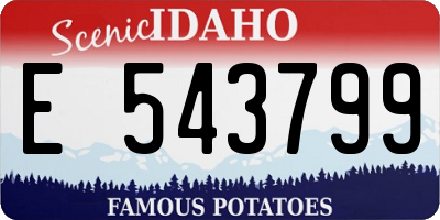ID license plate E543799