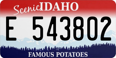 ID license plate E543802