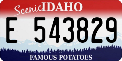 ID license plate E543829