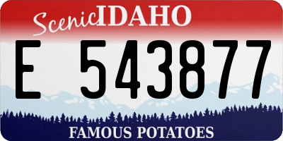 ID license plate E543877