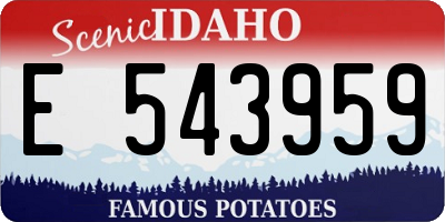 ID license plate E543959
