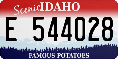 ID license plate E544028