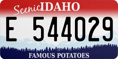 ID license plate E544029