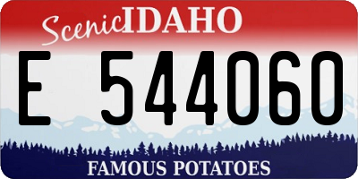 ID license plate E544060