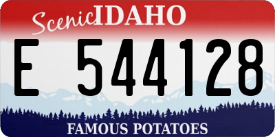 ID license plate E544128