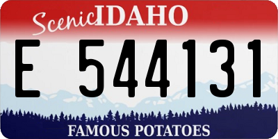 ID license plate E544131