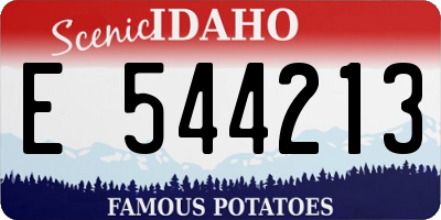 ID license plate E544213