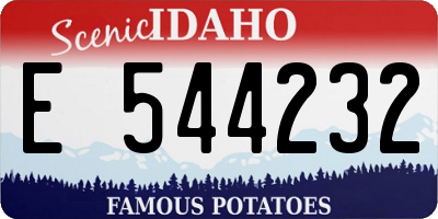 ID license plate E544232