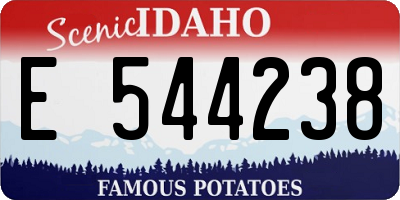 ID license plate E544238