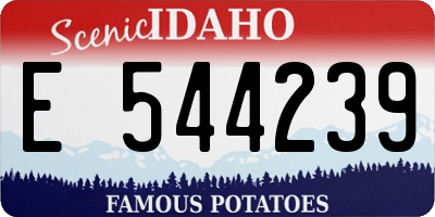 ID license plate E544239