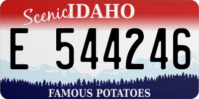 ID license plate E544246