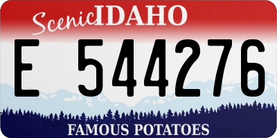 ID license plate E544276
