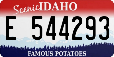 ID license plate E544293