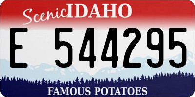ID license plate E544295