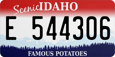 ID license plate E544306