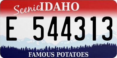 ID license plate E544313