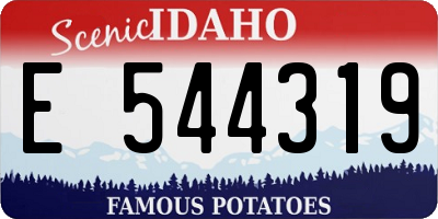 ID license plate E544319