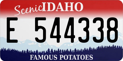 ID license plate E544338