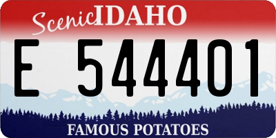 ID license plate E544401