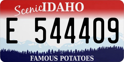 ID license plate E544409