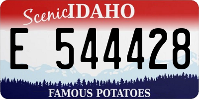 ID license plate E544428