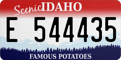 ID license plate E544435