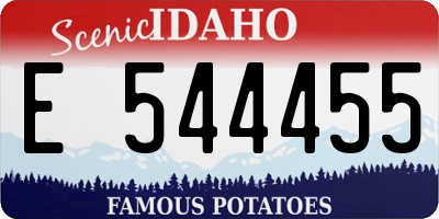 ID license plate E544455