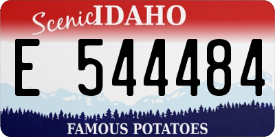 ID license plate E544484