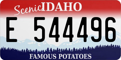 ID license plate E544496