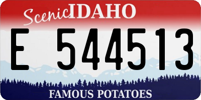 ID license plate E544513