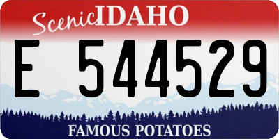 ID license plate E544529
