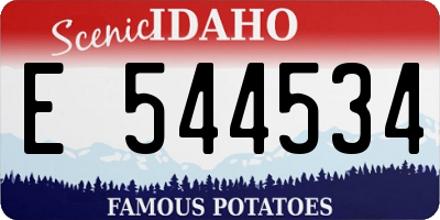 ID license plate E544534