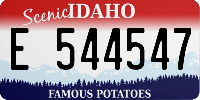 ID license plate E544547