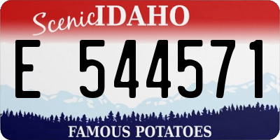 ID license plate E544571