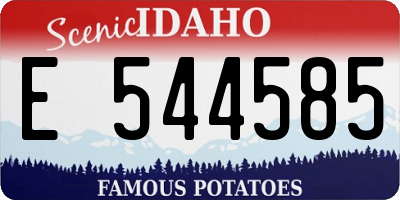 ID license plate E544585
