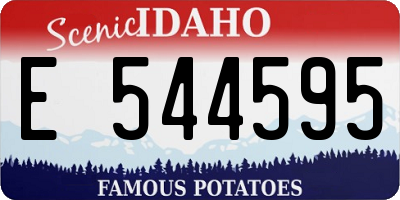 ID license plate E544595