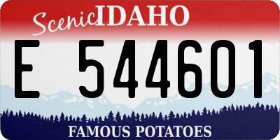 ID license plate E544601