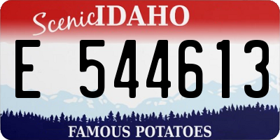 ID license plate E544613