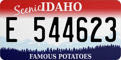ID license plate E544623