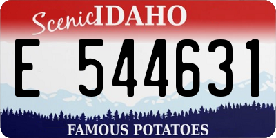 ID license plate E544631