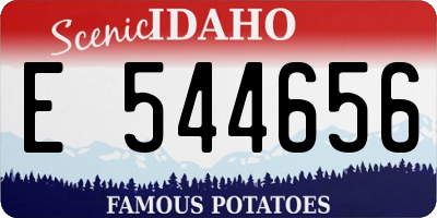 ID license plate E544656