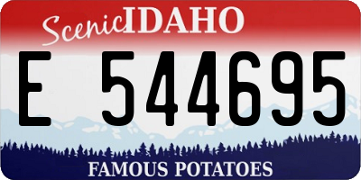 ID license plate E544695